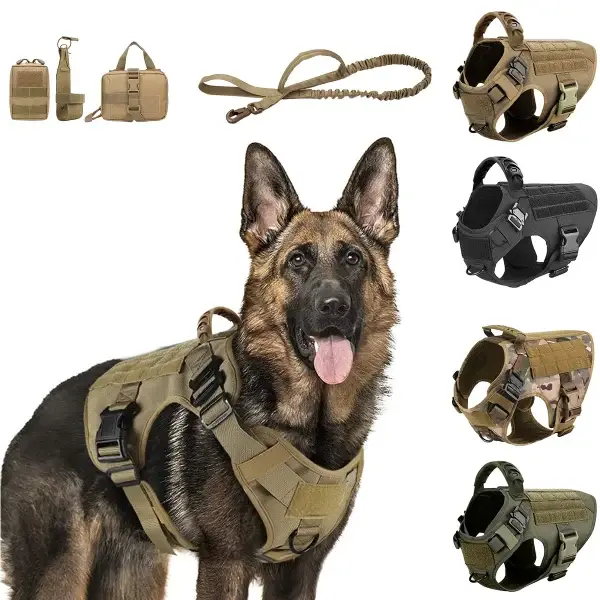 Large Dog Harness And Leash Set