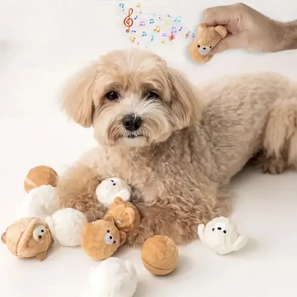 Interactive Pet Toy for Small Dogs & Cats