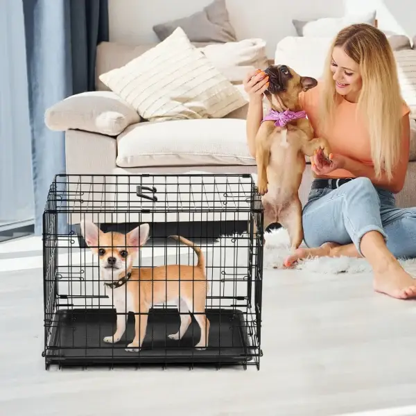 Single Door Folding Metal Dog Kennel