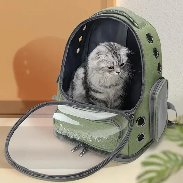 Transparent Backpack Pet Carrier