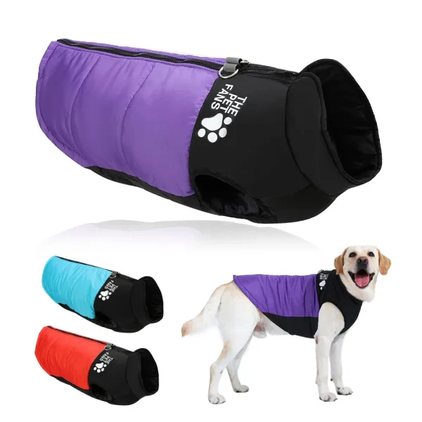 Big Dog Windproof  Winter Jacket
