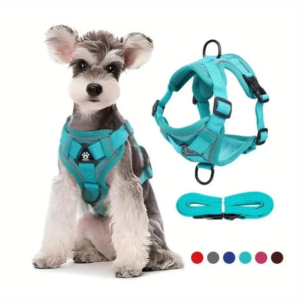 Adjustable No Pull Dog Harness/Leash Set