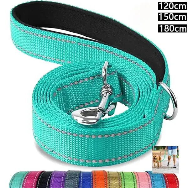 Night Reflection Pet Walking Training Leash
