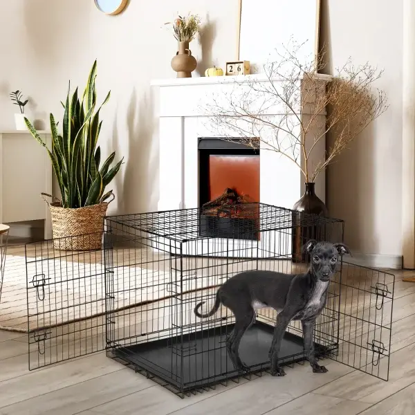 Double Door Folding Metal Pet Kennel
